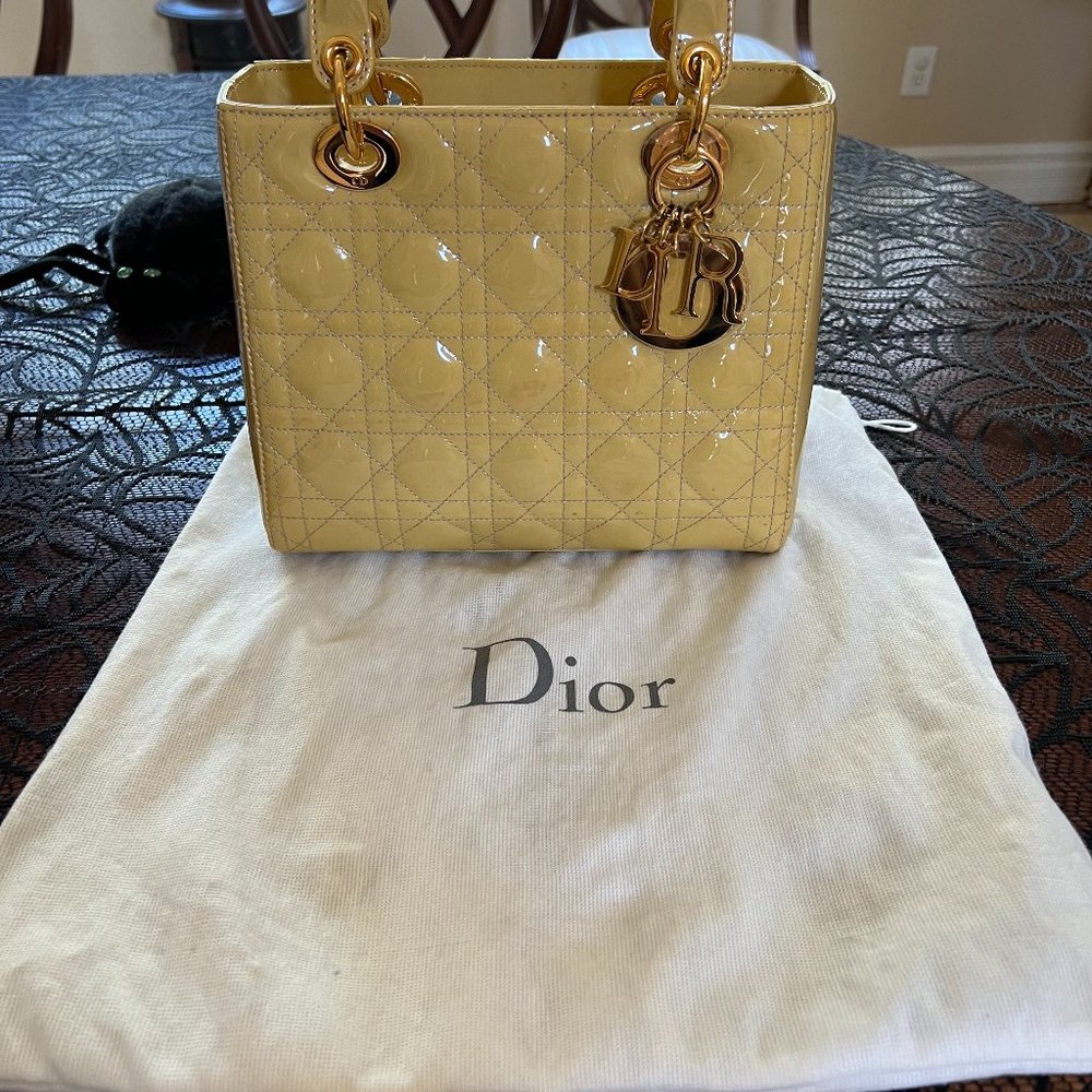 Christian Dior Purse
